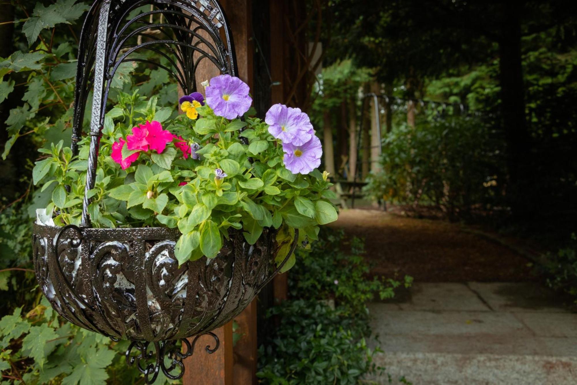 Croneybyrne Courtyard Βίλα Clara Εξωτερικό φωτογραφία