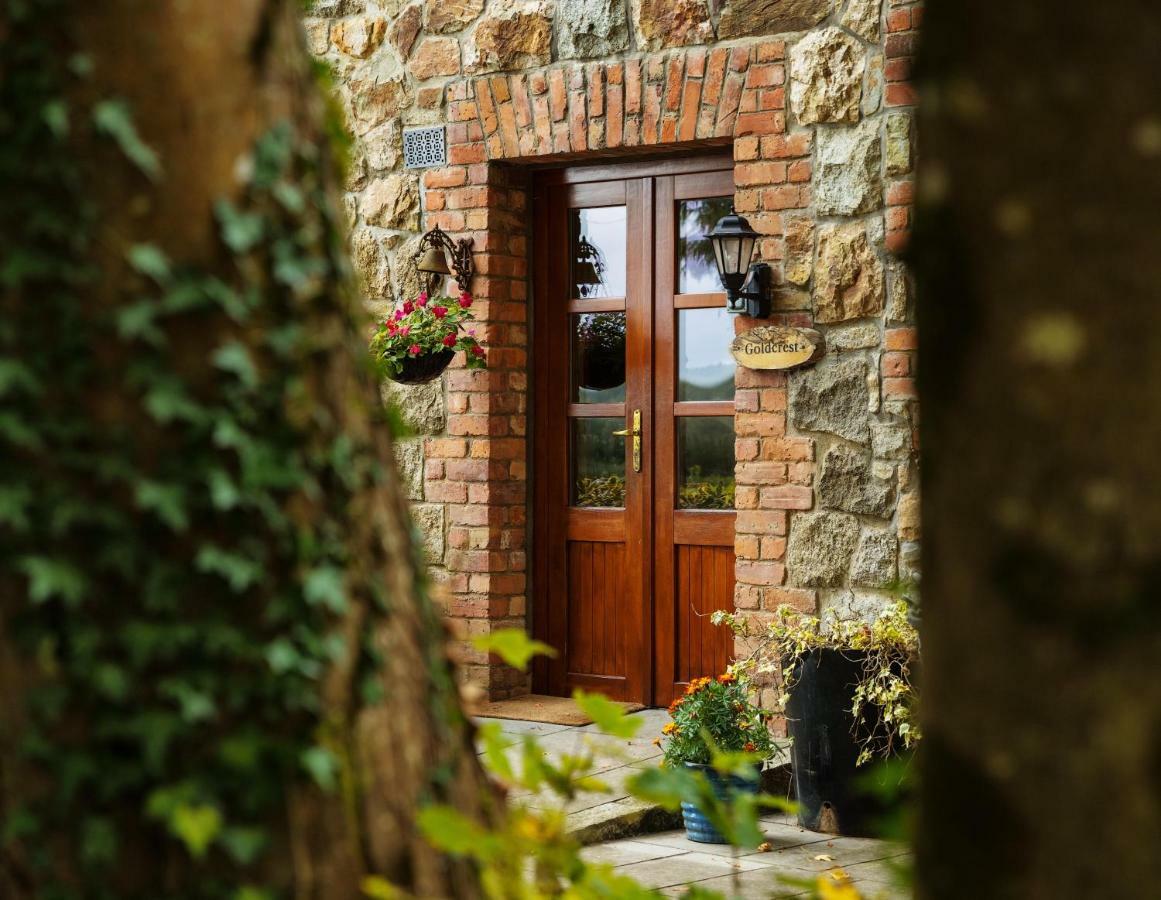 Croneybyrne Courtyard Βίλα Clara Εξωτερικό φωτογραφία